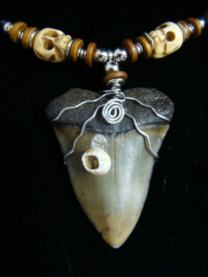 BIG! 2 1/4+" FOSSIL " MAKO SHARK " TOOTH BONE SKULL & BARNACLE NECKLACE