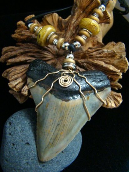 2 1/2+" MEGALODON SHARK TOOTH 14kt GOLD WIRE NECKLACE