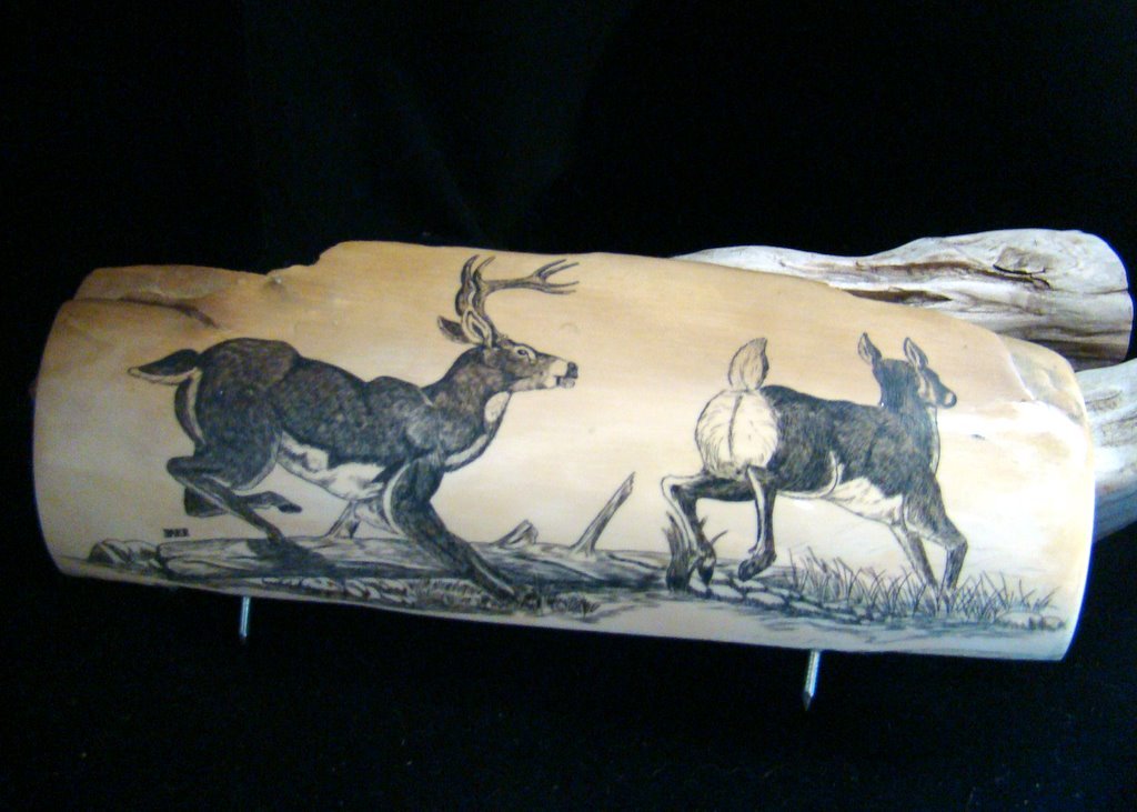 Vintage Scrimshaw Wildlife Deer Buck and Doe - Fossil Mastodon Ivory