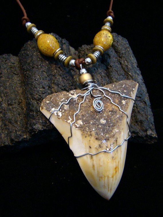 Huge 3 3/8" South Pacific Fossil Megalodon Shark Tooth Necklace - New Caledonia