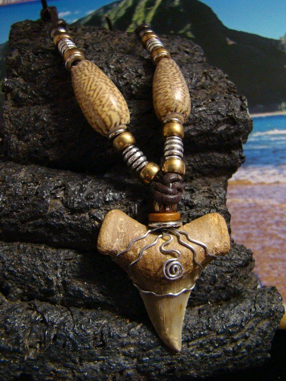 1 5/8" Fossil Mako Shark Tooth Necklace - Beaded - Shell Beads - Stainless Steel Wire Wrapped