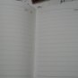 Green Fushilang mini notebooks[3]