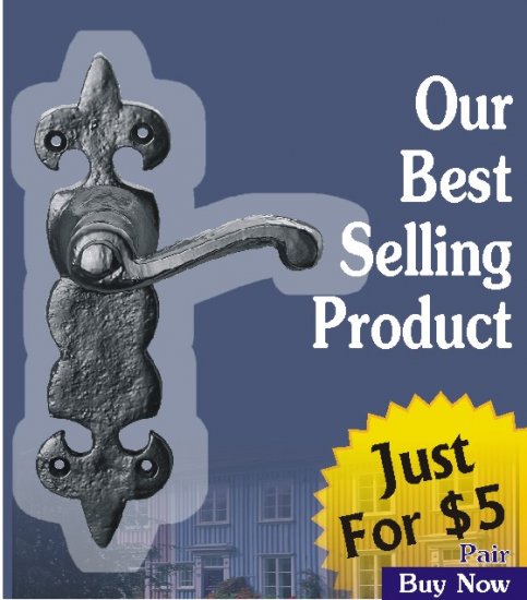 FDL DOOR HANDLE