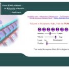 Key Secrets To Making Money On The Internet Audio Series