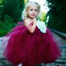 The Romantic Wish Tutu Dress