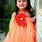 Sun Burst Tutu Dress