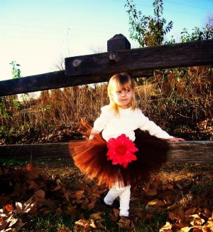 Autumn Breezes