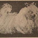 Crochet - Fluffy Dog (ref: e1124c)