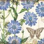 Lang Perfect Timing 5.25 x 4" Chicory Deluxe Note Card Set by Tim Coffey, 12 Cards & 12 Envelopes