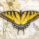 Lang Perfect Timing 4" x 5" Carte Postale Swallowtail Boxed Notecard, 13 Cards & 13 Envelopes