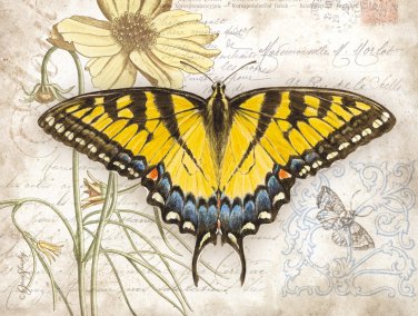 Lang Perfect Timing 4" x 5" Carte Postale Swallowtail Boxed Notecard, 13 Cards & 13 Envelopes