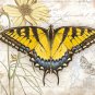 Lang Perfect Timing 4" x 5" Carte Postale Swallowtail Boxed Notecard, 13 Cards & 13 Envelopes