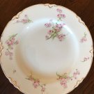 RARE J & G Meakin Hanley England Dinner Plate Dish Pink Rose China Gold Trim