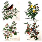 Joann Fabric Bird Fabric Ikea