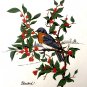 Joann Fabric Bird Fabric Ikea