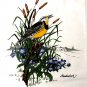 Joann Fabric Bird Fabric Ikea