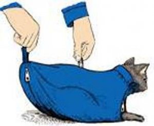 The Cat Sack Restraint with Rear Underside Zipper Nylon Blue Large (10-15 lbs)
