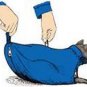 The Cat Sack Restraint with Rear Underside Zipper Nylon Blue Large (10-15 lbs)