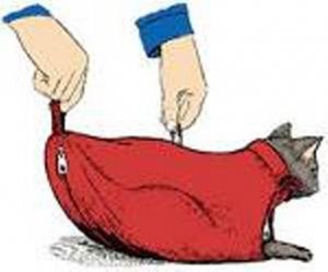 The Cat Sack Restraint with Rear Underside Zipper Nylon Medium (5-10 lbs)