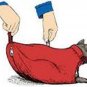 The Cat Sack Restraint with Rear Underside Zipper Nylon Medium (5-10 lbs)
