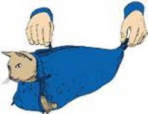 The Original Cat Sack Restraint Nylon Blue Large (10-15 lbs)