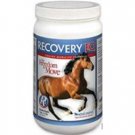 Recovery EQ Equine Beyond Pain Relief  for Horses 1kg / 2.2 lbs