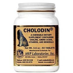 Cholodin Tabs Choline Loading Supplement for dogs Bottle of 50