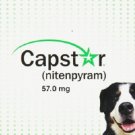 Capstar Flea Treatment (#6) 57mg Tablets for Dogs 25 lbs+