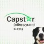 Capstar Flea Treatment (#6) 57mg Tablets for Dogs 25 lbs+