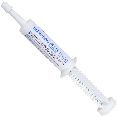 Bene Bac Plus Pet Gel 15 gm Probiotic Prebiotic Digestive Support