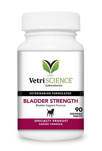 Bladder Strength Chew Tabs for Dogs Smoke Flavor 90ct