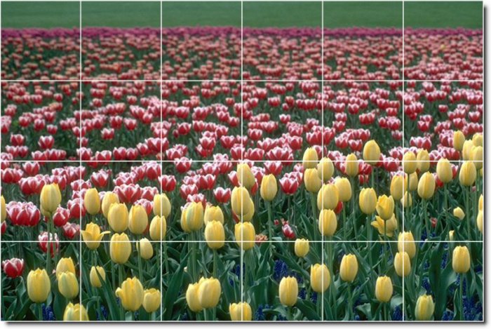 Flowers Picture Living Murals Room Tile Design Renovation House