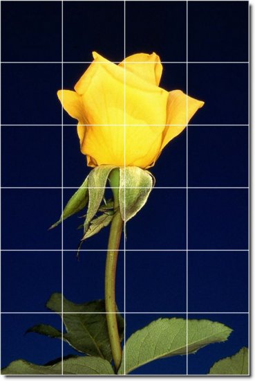 Flowers Picture Mural Kitchen Floor Construction Decorate House