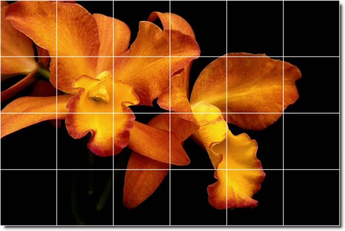 Flowers Picture Kitchen Mural Backsplash Tiles Home Art Remodel