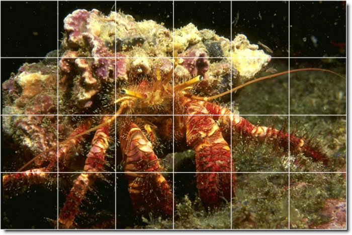 Underwater Picture Kitchen Floor Tiles Mural Modern Renovations