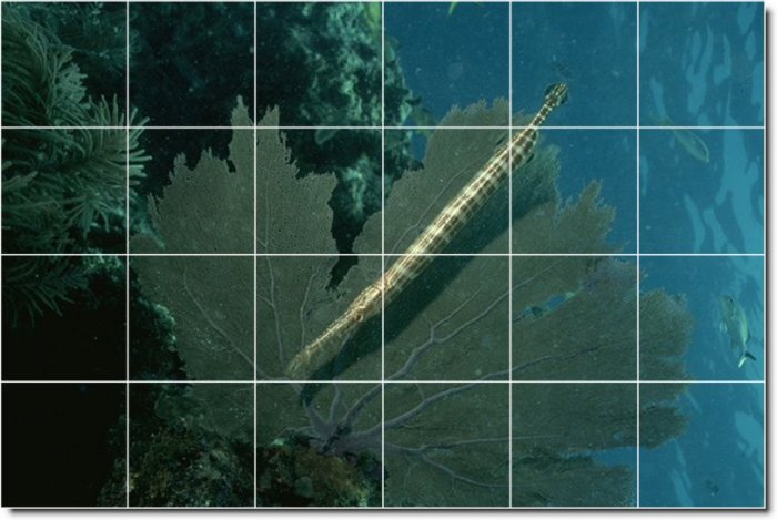 Underwater Image Room Murals Living Wall Wall Floor Design Decor
