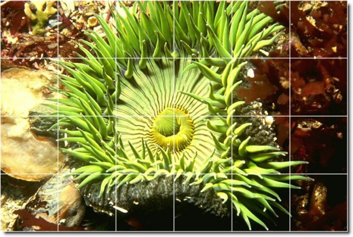 Underwater Photo Room Murals Wall Wall Living Decor Design Floor