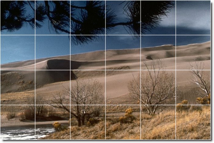 Deserts Image Mural Room Floor Living Commercial Remodeling Idea