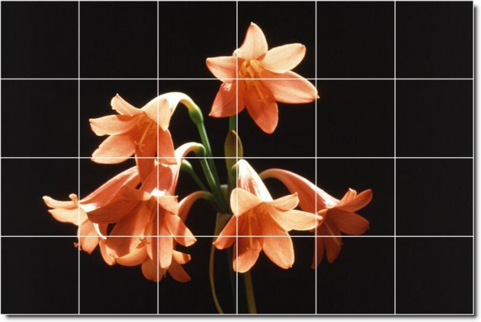 Flowers Picture Bathroom Tiles Shower Remodeling House Decorate