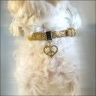 Twinkle Collar Gold- Peace in Heart Necklace Dog Cat