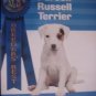 Parson Russell Terrier Dog Puppy Book Breeder's Best