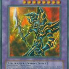 Dark Paladin *Virtual Card for PC game* Extremely Rare