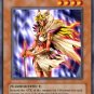 Amazoness Paladin *Virtual Card for PC game*