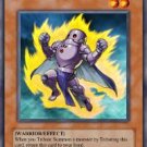 Samsara Kaiser *Virtual Card for PC Game*