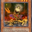 Lonefire Blosson *Virtual Card for PC Game*