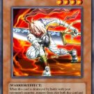 D.D. Assailant *Virtual Card for PC Game*