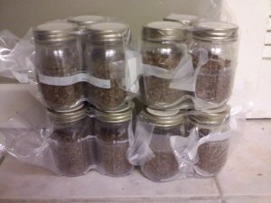 Pre-Sterilized Pint Grain Jars 12 Pack