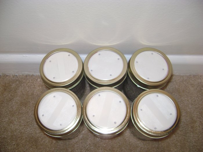 PreSterilized Mushroom Substrate Jars 6 Pack