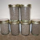 Pre-Sterilized Mushroom Substrate Jars 6 Pack