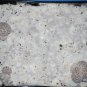 70/30 Coir/Verm Bulk Substrate